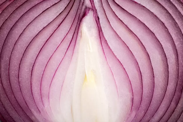 cebolla