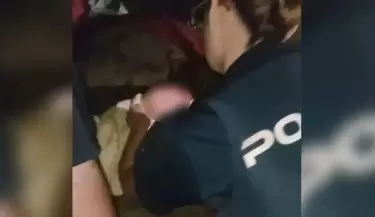 bebe