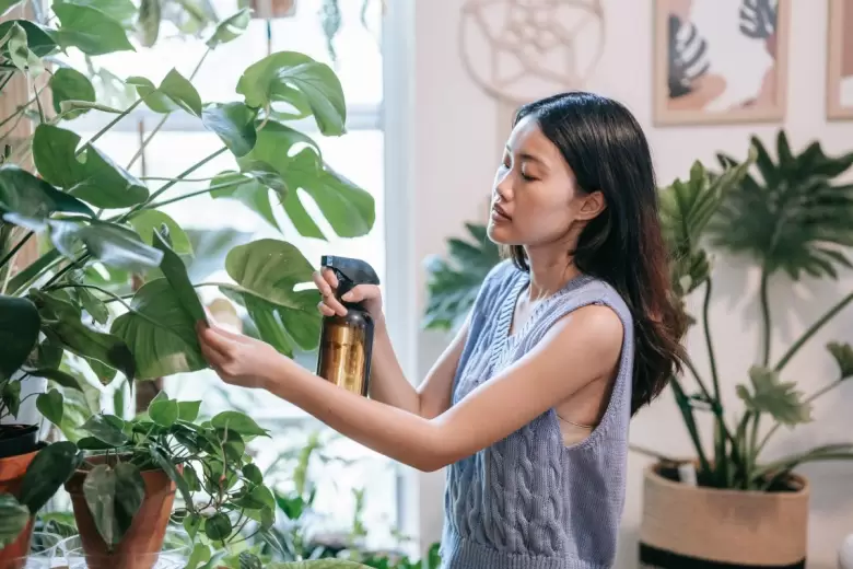 feng shui