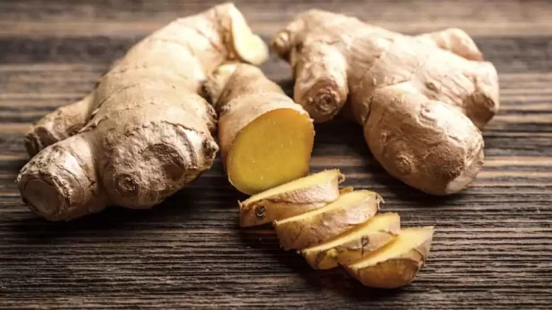 nutricion_508459709_171997198_1024x576