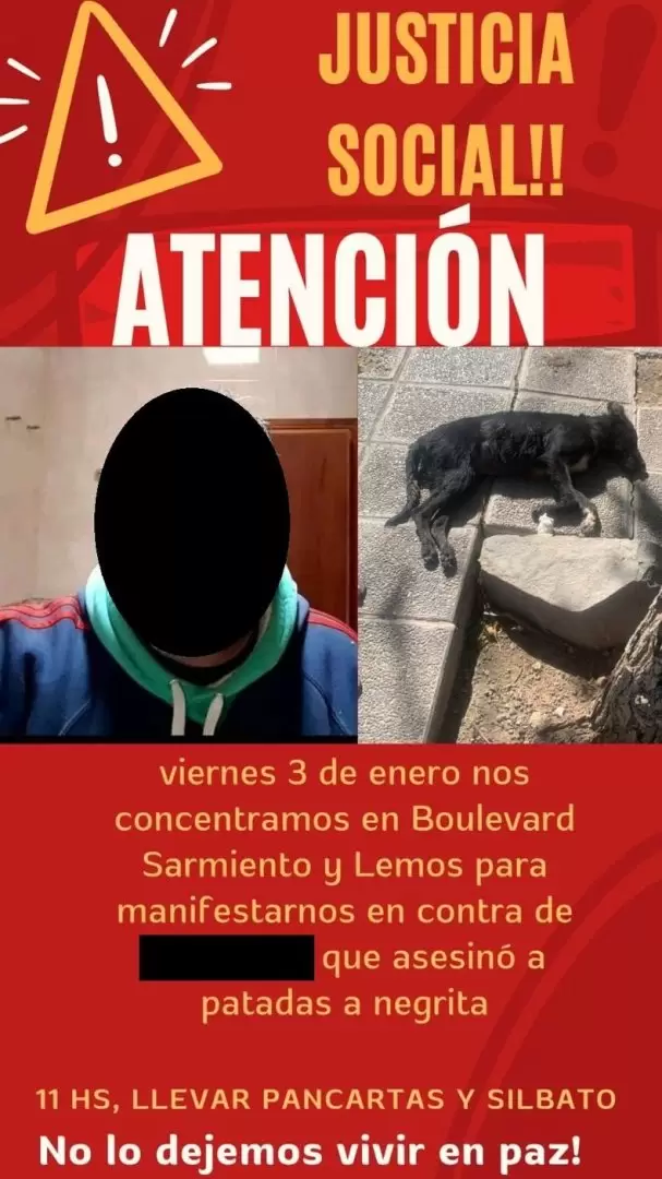 Maltrato animal