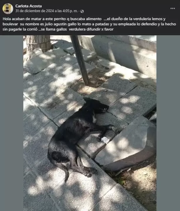 Maltrato animal