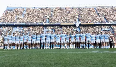 los pumas