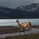 La imponente reserva natural de la Laguna del Diamante abre su temporada