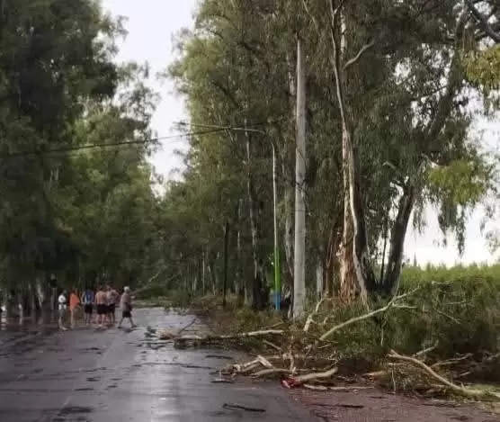 tormenta