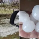 (En fotos) Una feroz tormenta con granizo caus� graves da�os en La Paz: "M�s de 100 �rboles ca�dos"