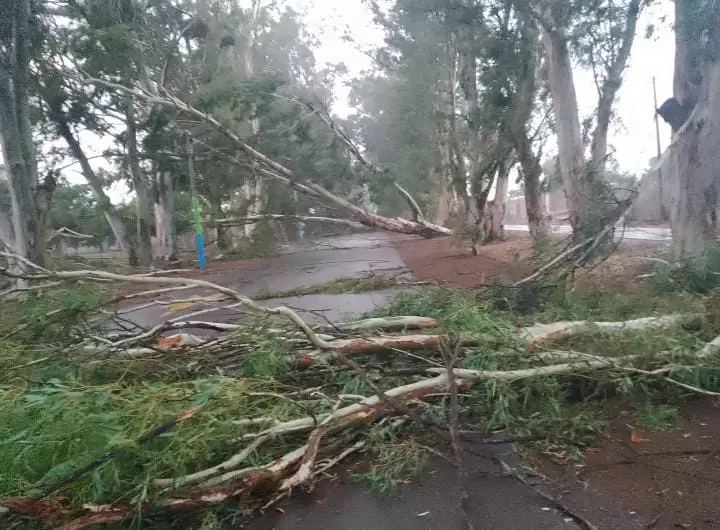 Tormenta La Paz