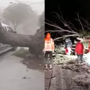 Temporal violento en San Luis: r�fagas de 120 kil�metros por hora
y tormentas provocaron graves da�os
