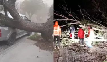 Temporal en San Luis