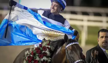 caballo argentino