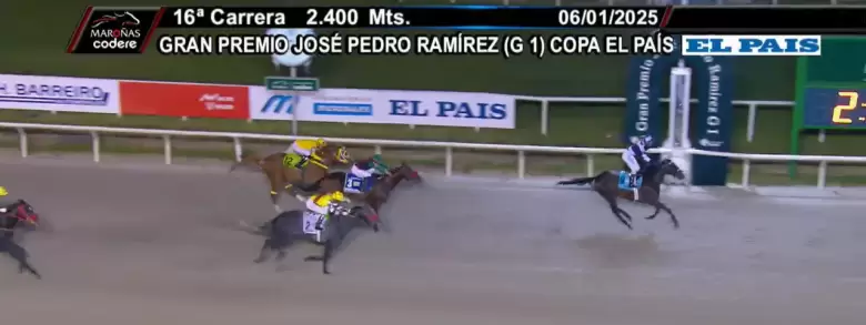 caballo argentino