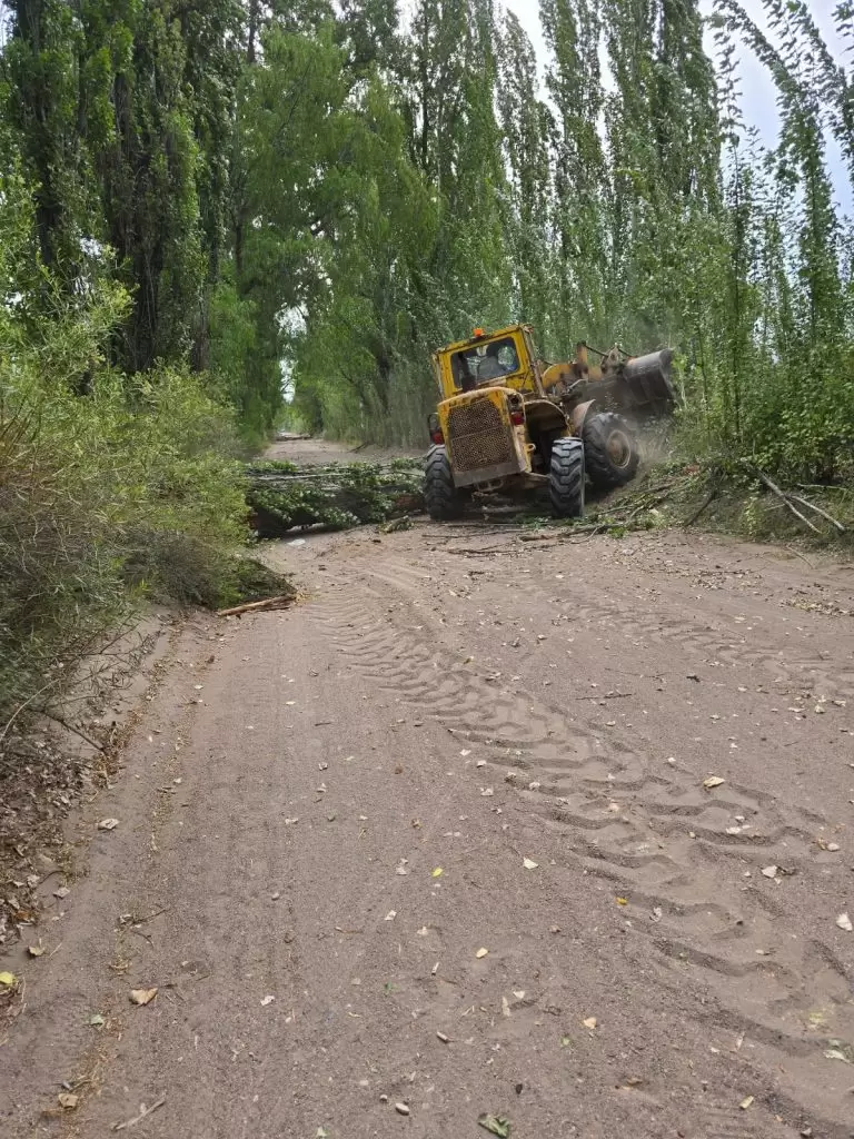 Vialidad sigue liberando los caminos afectados de San Rafael y La Paz.