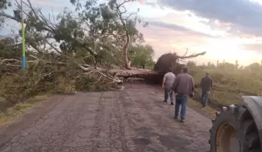 Vialidad sigue liberando los caminos afectados de San Rafael y La Paz.