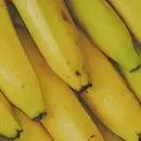 El mejor truco casero con c�scara de banana que ayuda a las plantas de tu jard�n
