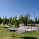 Dos nuevas canchas de pádel se construirán en el Parque San Vicente de Godoy Cruz