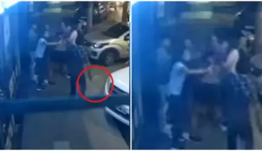 intentaron a abandonar a un perro