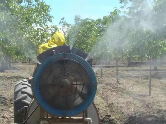 productores campo agricultura