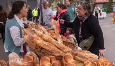 sabor a ciudad comercio