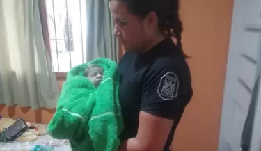 bebe san martin