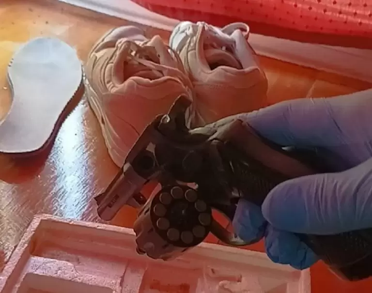 Secuestro de armas tras el allanamiento al domicilio