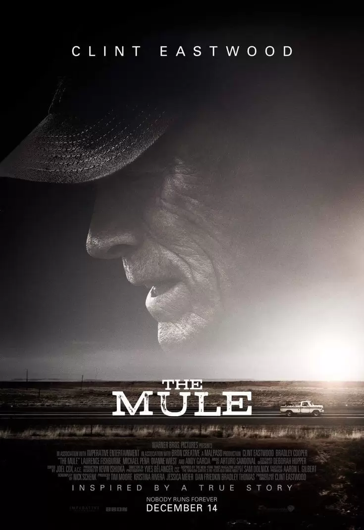 the mule