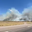(VIDEO) Fuego de gran magnitud en campos de Tupungato