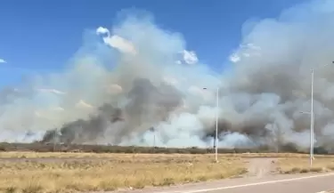 INCENDIO TUPUNGATO