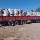 Mendoza recicló más de 129 toneladas de envases de agroquímicos en 2024