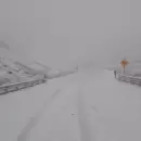 Rescataron a una familia con cuatro ni�os varada por la tormenta de nieve en el Paso de Agua Negra