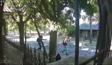 whatsapp-video-2025-01-14-at-20.02.45
