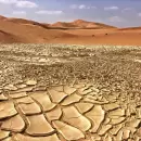 El cambio clim�tico amenaza la agricultura: C�mo adaptarse a esta nueva realidad