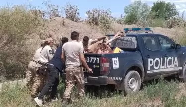 carne equina policia
