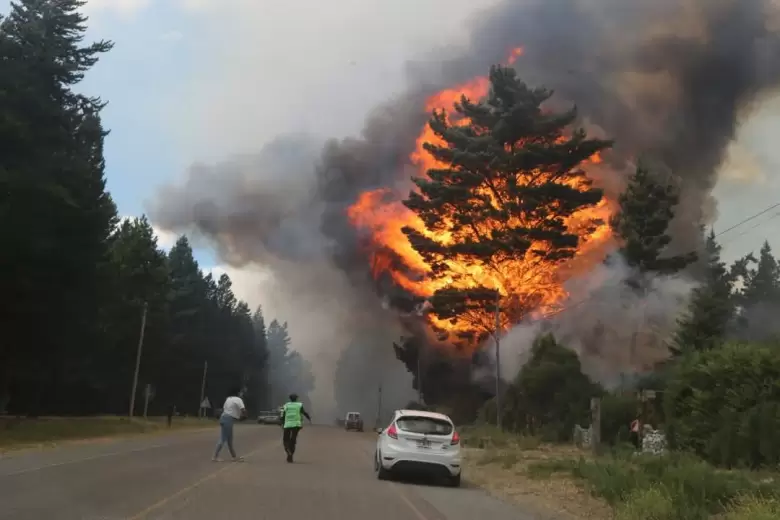 Alerta por incendio forestal en Epuyén, Chubut