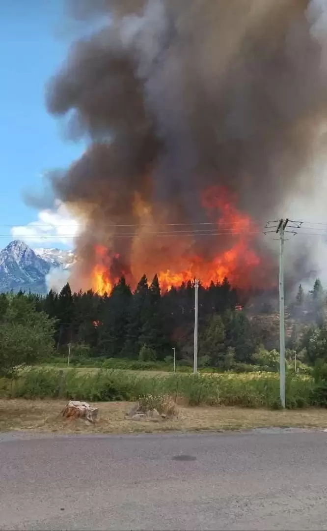 Alerta por incendio forestal en Epuyén, Chubut