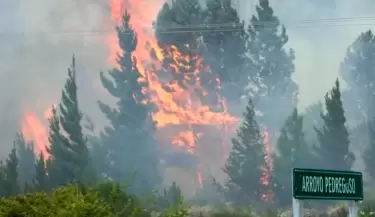 Alerta por incendio forestal en Epuy�n, Chubut
