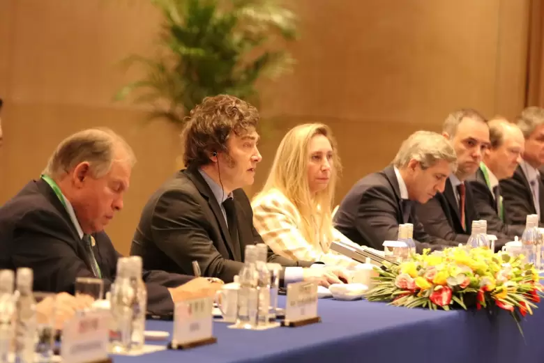 milei gabinete