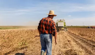 campo argentino 4