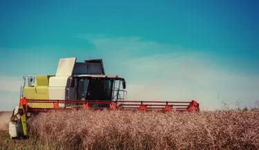 campo argentino 4