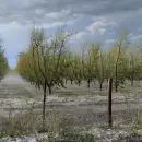 Emergencia y desastre agropecuario: el Gobierno defini� las zonas m�s afectadas por las tormentas