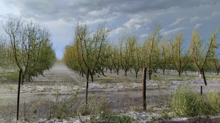 Emergencia agropecuaria