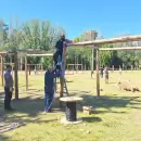 Est� en marcha el paseo distrital "San Rafael en Vendimia" que podr� visitarse viernes y s�bado