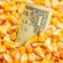 La liquidaci�n del agro cay� 11% en el primer cuatrimestre y presiona la entrada de d�lares