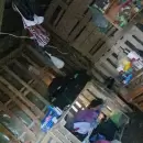Rescatan a 39 personas v�ctimas de un posible caso de explotaci�n laboral en una finca de Lavalle