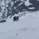 Asistieron a una andinista noruega en el Aconcagua: sufri� agotamiento y deshidrataci�n