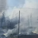 Incendio forestal en Chile afecta la Ruta 60 internacional