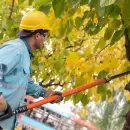 Esta semana siguen los trabajos de mantenimiento en distintas zonas de la Capital mendocina