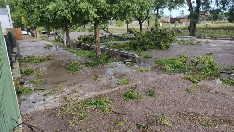 Santa rosa granizo