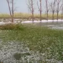 (Videos) El granizo no tuvo piedad con Santa Rosa: Serios da�os en zonas cultivadas y urbanas