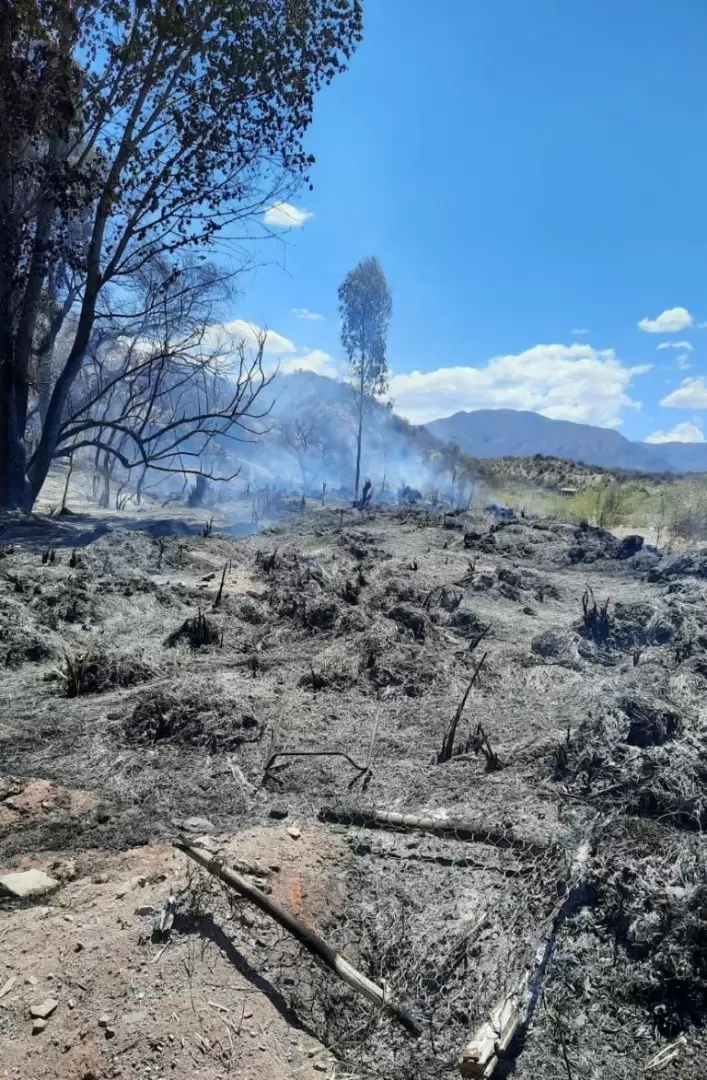 Incendios forestales en Mendoza