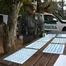 (Video) Gendarmer�a intercept� a un auto que trasladaba 695 pastillas de �xtasis rumbo a Buenos Aires